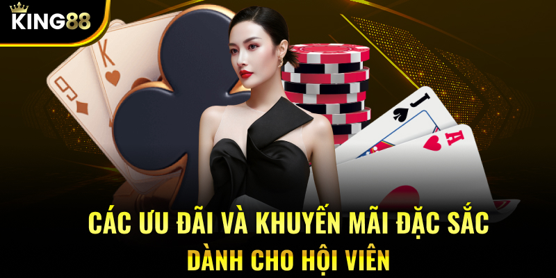 Các ưu đãi và khuyến mãi đặc sắc dành cho hội viên 