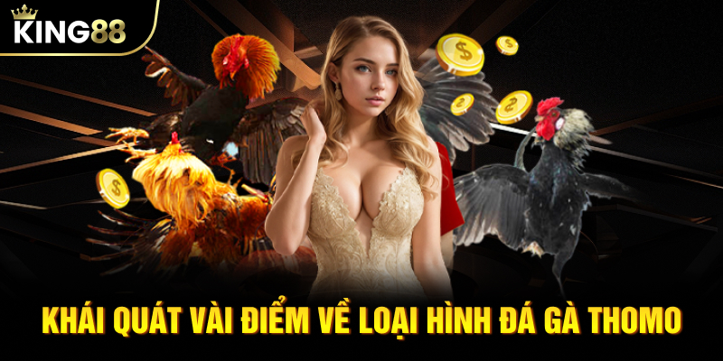 Khái quát vài điểm về loại hình đá gà Thomo KING88