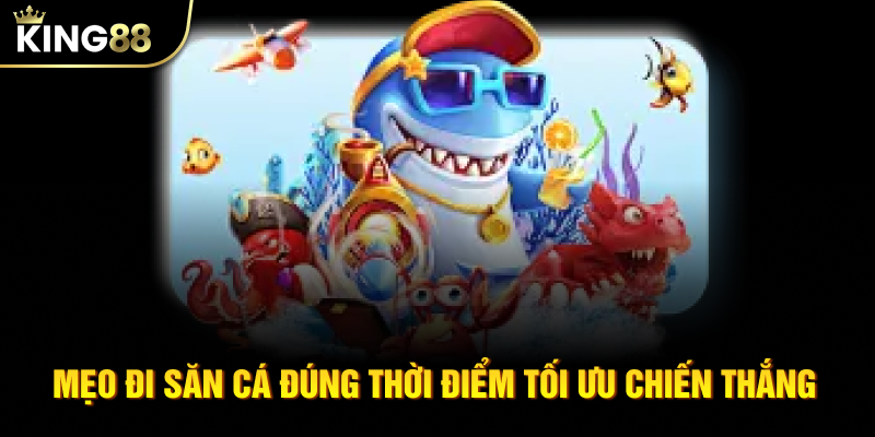 Mẹo đi săn cá đúng thời điểm tối ưu chiến thắng