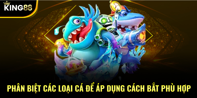 Phân biệt các loại cá để áp dụng cách bắt phù hợp