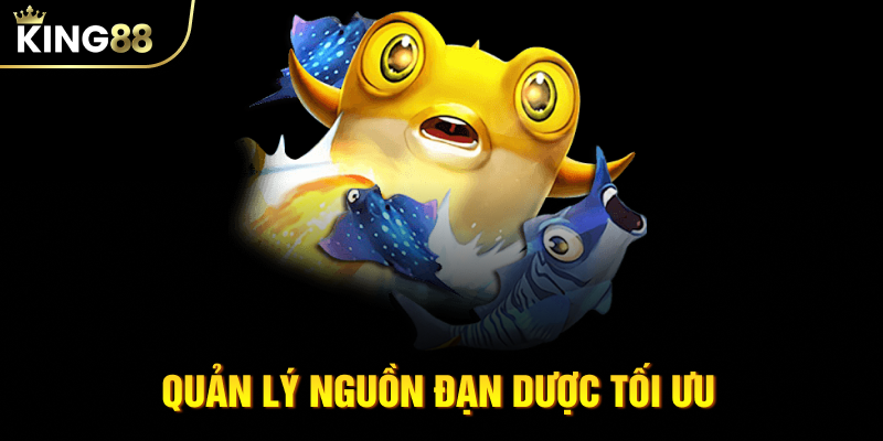 Quản lý nguồn đạn dược tối ưu