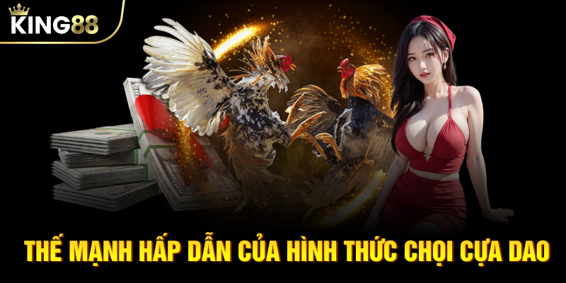 Thế mạnh hấp dẫn của hình thức chọi cựa dao